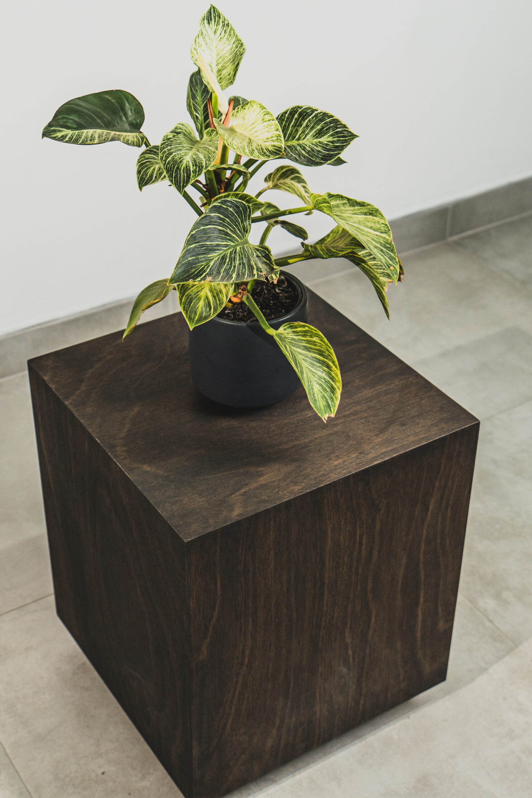 PHOENIX - SIDE TABLE - Image 2